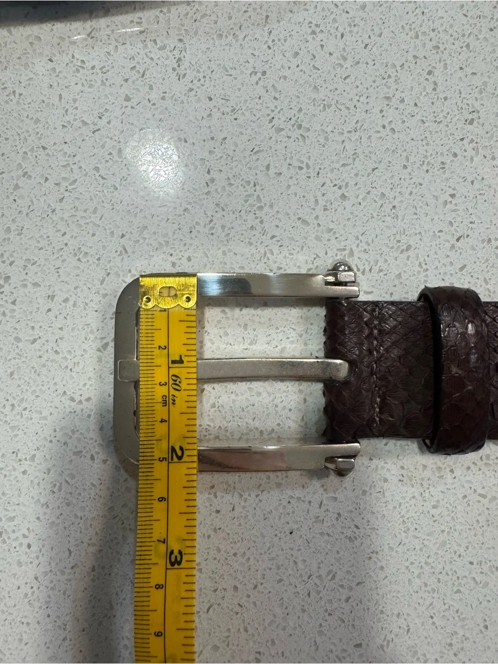 W. Kleinberg Genuine Python‎ Snakeskin Belt Brown Silver Buckle